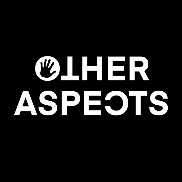 OTHER ASPECTS 